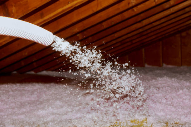 Best Insulation for Specific Applications in Travis Ranch, TX