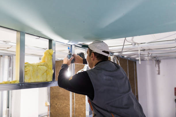 Travis Ranch, TX Insulation Contractor Pros