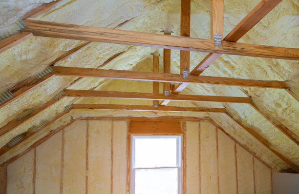 Travis Ranch, TX Insulation Contractor Pros