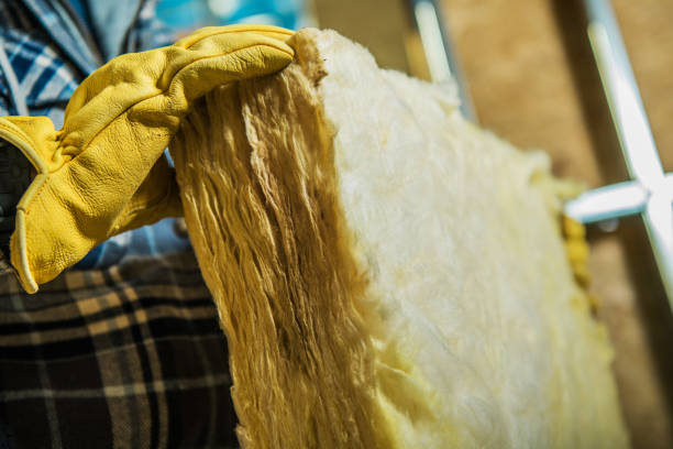 Best Residential Insulation in Travis Ranch, TX