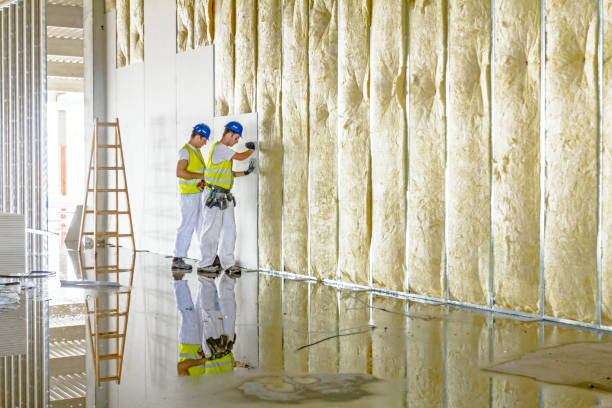 Best Specialty Insulation in Travis Ranch, TX